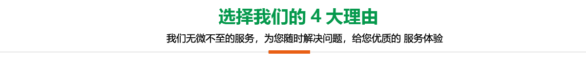 电瓶巡逻车
